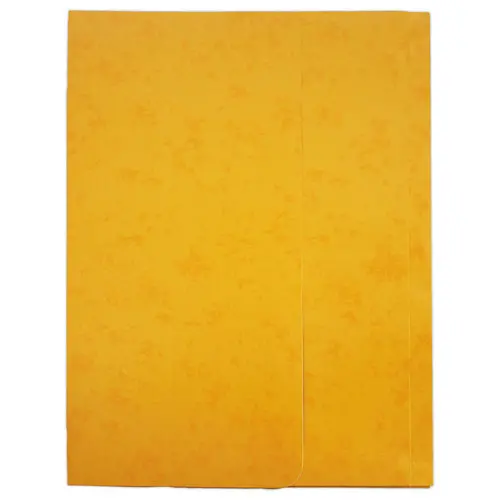 10 Chemises pochettes carte lustrée avec soufflet 250 g
