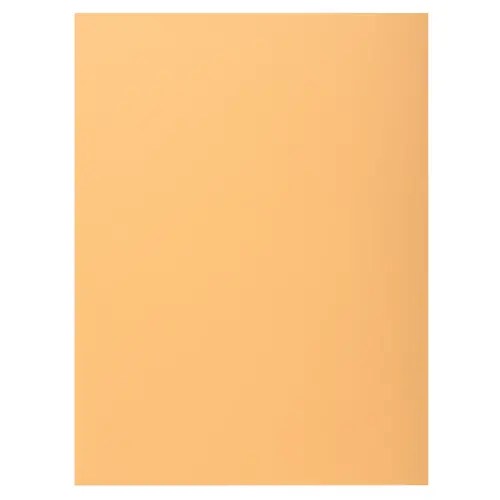 100 Chemises 1 rabat 160 g carte qualit&eacute; sup&eacute;rieure PEFC - couleurs pastel 