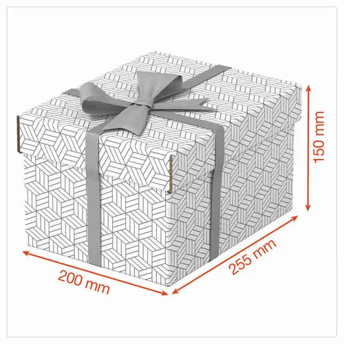 3 Boîtes de rangement Home - Taille S - Blanc - ESSELTE