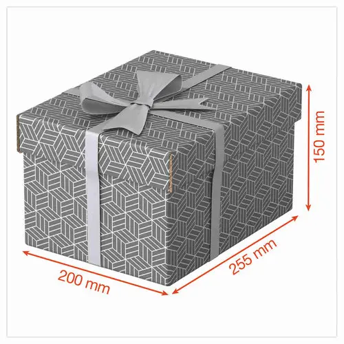 3 Bo&icirc;tes de rangement Home - Taille S - Gris - ESSELTE 
