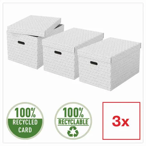 3 Boîtes de rangement Home taille L - Blanc - ESSELTE
