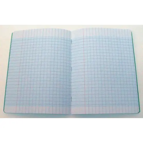 Cahier piq&ucirc;re Sey&egrave;s - A5+ 90g - 48 pages - Vert - Access 
