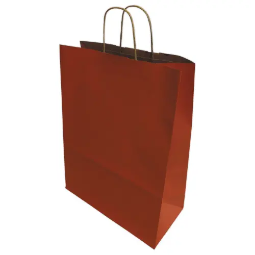 200 Sac poignées torsadées format Moyen : 22 x 33 x 10 cm- rouge