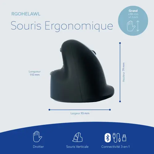 R-Go HE Souris ergonomique verticale sans fil droitier modèle grand