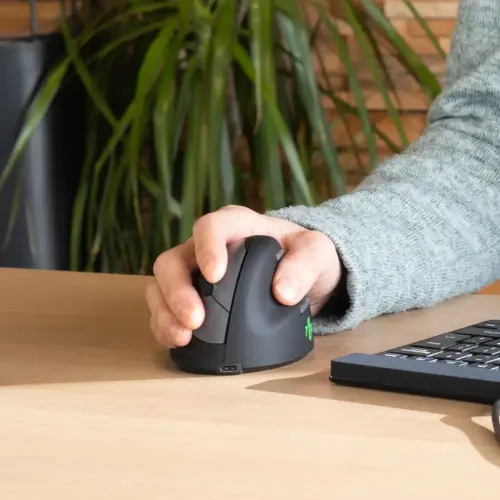 R-Go HE Souris ergonomique verticale sans fil droitier modèle grand