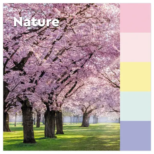 16 Notes Recycl&eacute;es Collection Nature, 76 x 127 mm 