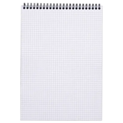 Bloc spirale de 80 feuilles détachables A4 - 5x5 - RHODIA