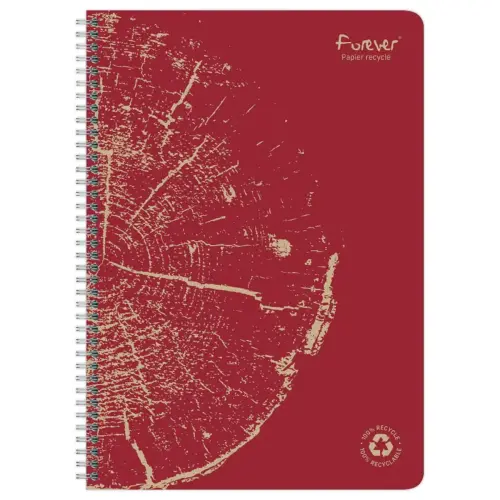 Cahier recyclé à spirales pages A4 ligné.