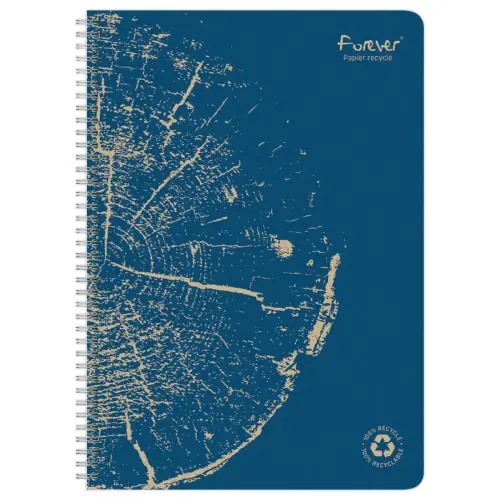 Cahier recyclé à spirales pages A4 ligné.