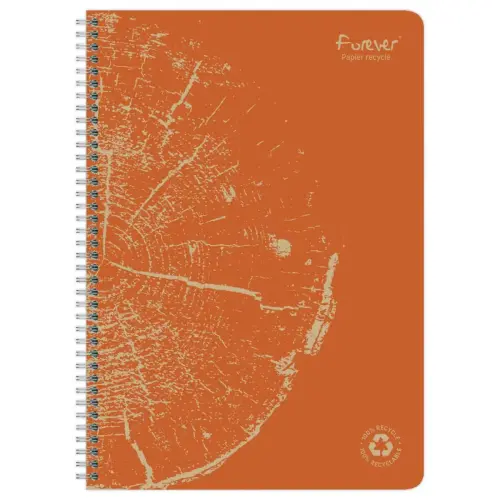 Cahier recyclé à spirales pages A4 ligné.