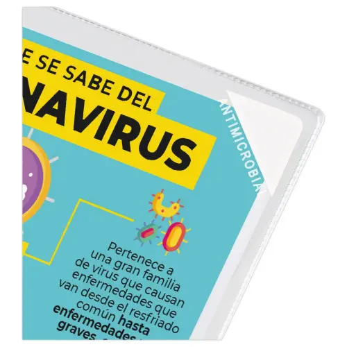 5 Pochettes d'affichage KANG EASY CLIC antimicrobiennes A4