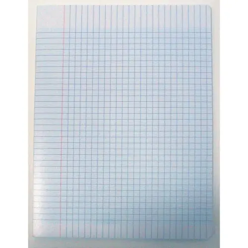 Cahier piqûre Seyès - A4+ 90g - 48 pages - Incolore - Access