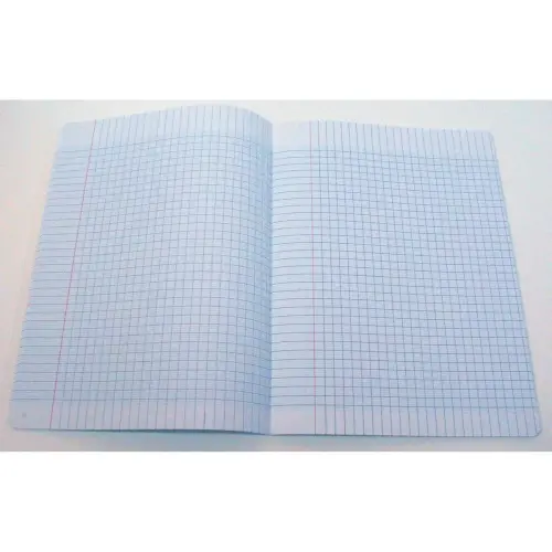 Cahier piq&ucirc;re Sey&egrave;s - A4+ 90g - 96 pages - Coloris al&eacute;atoire - Access 