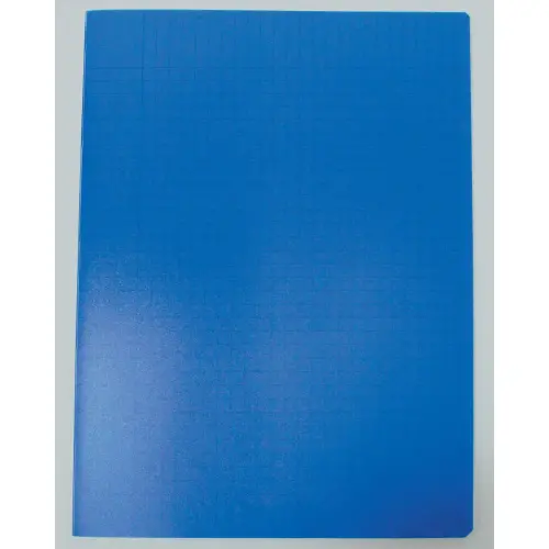 Cahier piqûre Seyès - A4+ 90 g - 48 pages - Bleu - Access