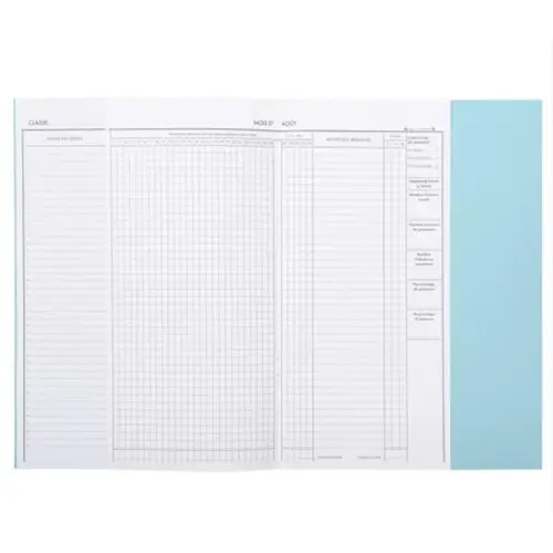 Registre annuel d'appel journalier Clairefontaine - 29,7 x 21 cm - 24 pages découpées - vert
