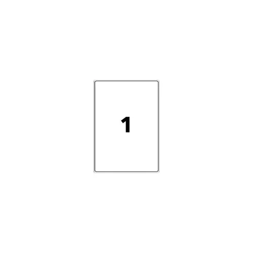 15 Planches d'étiquettes 199,6x289,1 mm 15étiq/boîte