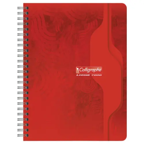 Cahier spirale - 70g - 17x22cm, 5x5 -100 pages - CALLIGRAPHE
