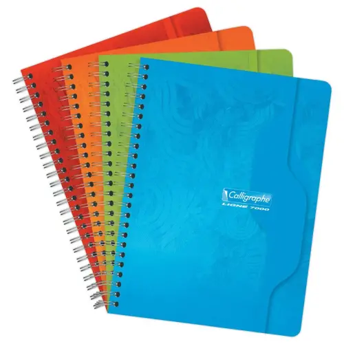 Cahier spirale Calligraphe 70g, 17x22cm, 5x5, 180 pages 