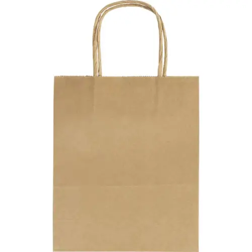 Sac en papier kraft 125 g Folia - 18 x21 x8 cm - kraft - lot de 20