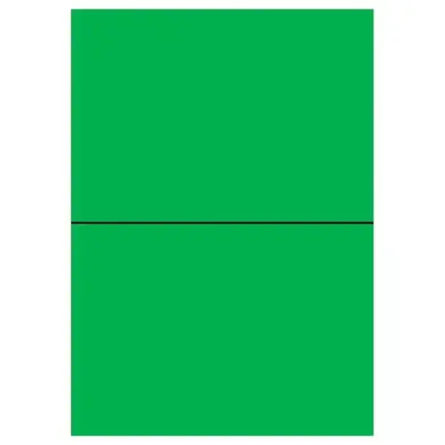 100 Planches d'étiquettes L210xH148,5 mm 200 étiq/ boîte, vert vif