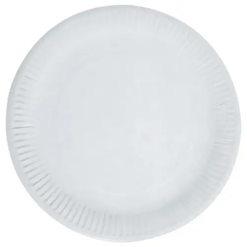 100 Assiettes en carton - 23 cm de diam&egrave;tre 