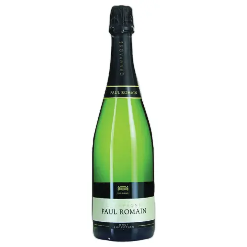 6 Bouteilles de champagne - 75 cl - PAUL ROMAIN
