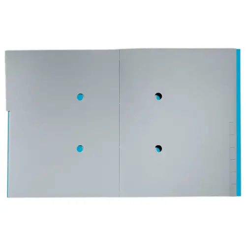 Trieur avec &eacute;lastiques  12 touches - 100% recycl&eacute; - Bleu - LEITZ 