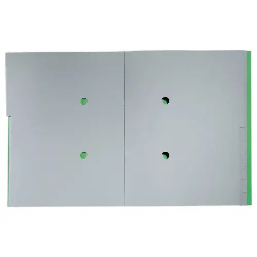 Trieur avec &eacute;lastiques - 12 touches- 100% recycl&eacute; - vert - LEITZ 