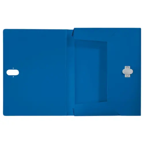 Boîte de classement recyclé - bleu - LEITZ