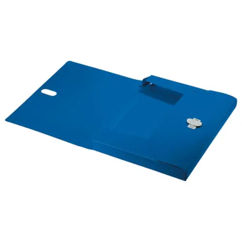 Boîte de classement recyclé - bleu - LEITZ