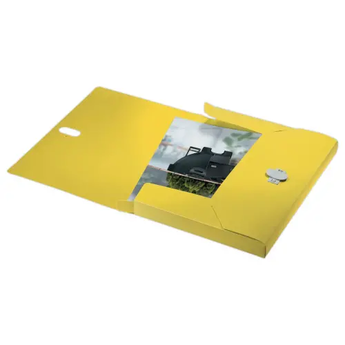 Bo&icirc;te de classement recycl&eacute; - jaune - LEITZ 