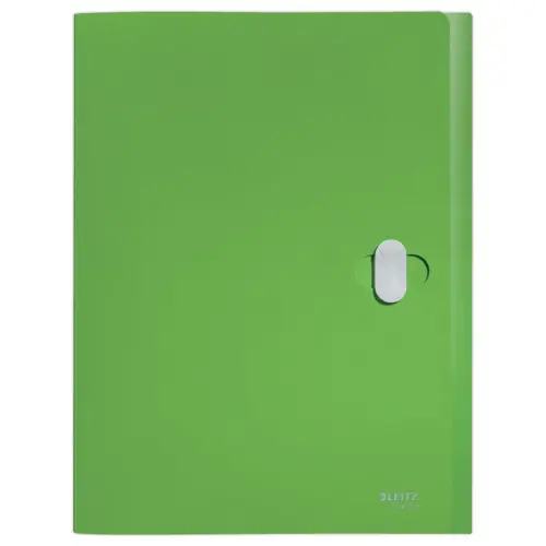 Boîte de classement recyclé - vert - LEITZ