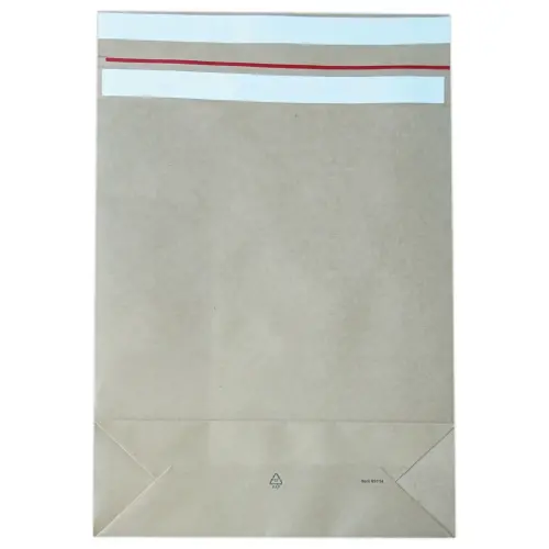 200 Pochettes r&eacute;utilisables kraft 350x450x120 100g 
