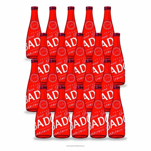 20 bouteilles Badoit rouge 33 cl,  en verre 