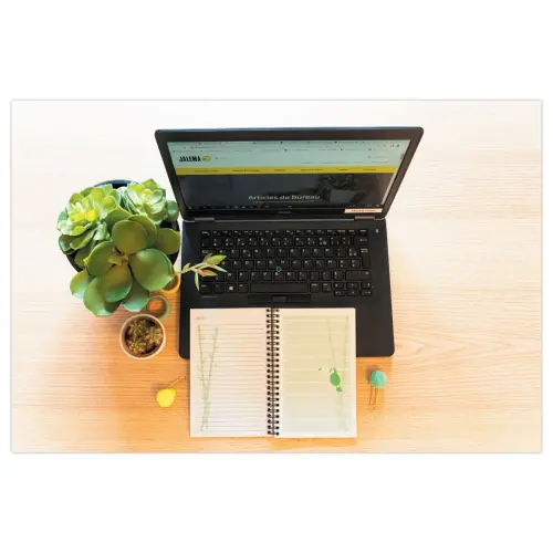 Carnet Atlanta " To do " - 19,5 x 12,5 cm - Vert - Djois