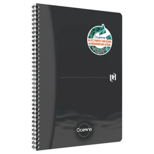 Cahier Oxford Oceanis int A4 180 pages5x5 PP 