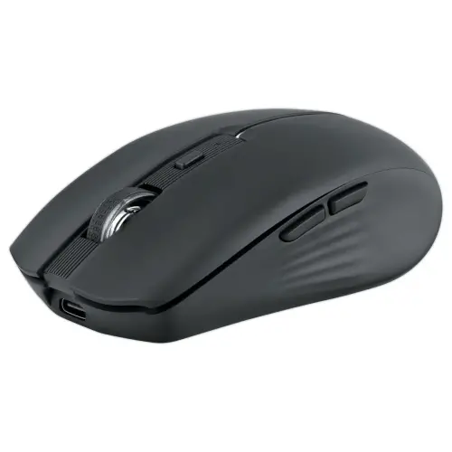 Souris gradient Dual Connect noire 