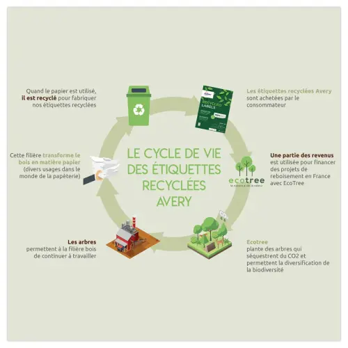 15 planches &eacute;tiquettes recycl&eacute;es blanches63,5 x 33,9mm 