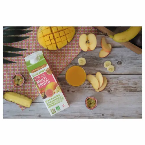 Brique 1 litre de jus multifruits BIO