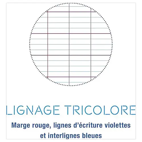 Cahier spirale 160p KOVERBOOK A4+ 22,9x29,7cm SEYES perfo 4 trous