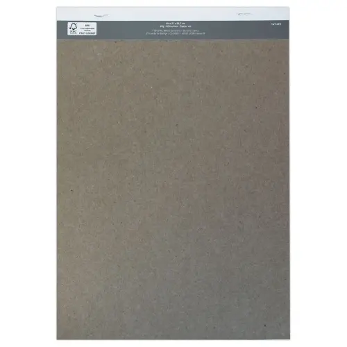 Bloc 60G A4 21x29.7 cm , uni , 80 feuilles