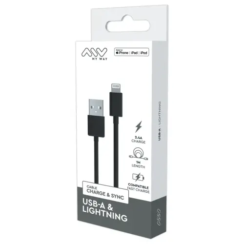 Câble USB-A Lightning 1m Noir