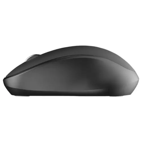 Souris sans fil optique Delta noire