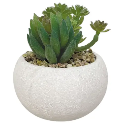 3 plantes succulentes artificielles 
