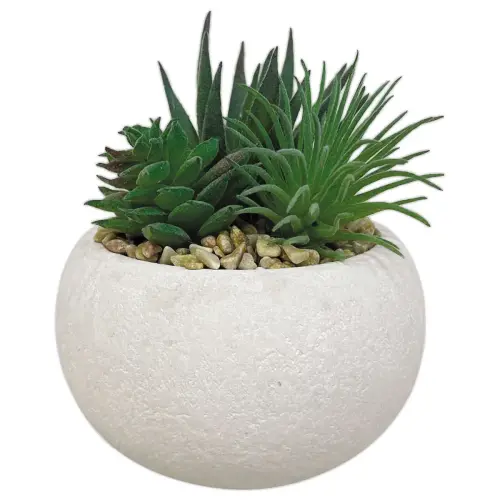 3 plantes succulentes artificielles 