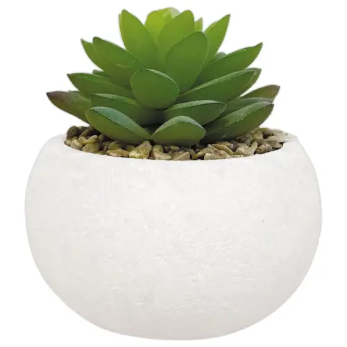 3 plantes succulentes artificielles 