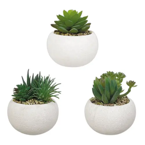 3 plantes succulentes artificielles 