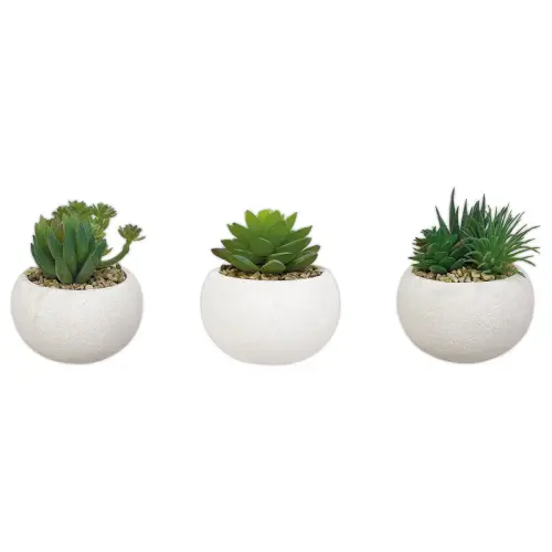 3 plantes succulentes artificielles 