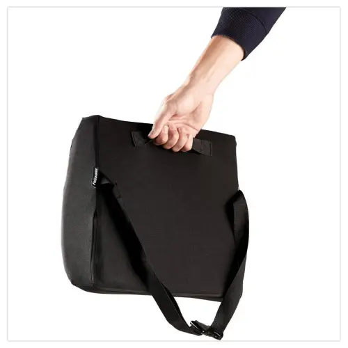 Coussin dorsal - Noir - FELLOWES 