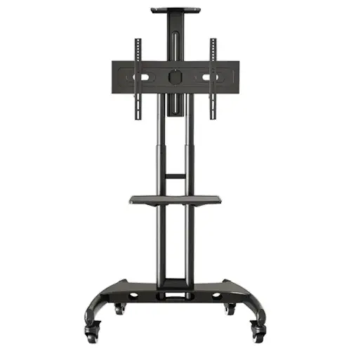 Ecran 65" IIYAMA + support mobile à roulettes